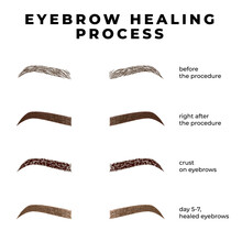 Eyebrows Healing Process After Microblading. Healing Stages Eyebrows. 