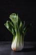 © ADDICTIVE STOCK - Chinese cabbage on black table in studio