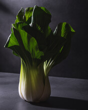 Chinese Cabbage On Black Table In Studio