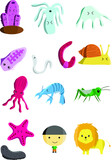 Fototapeta Dziecięca - animals in animalia kingdom cartoon
