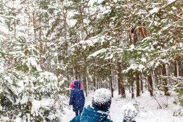 The boy throws a snowball at the girl. Funny children in Winter Park playing snowballs, actively spending time outdoors. Winter snowy woodland. Cold frost weather in snowstorm. Sibling. Back view