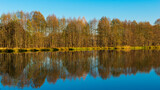 Fototapeta Mapy - Golden hour by the Narew River