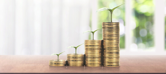 Stack of coin with  plants are grown trading graph, financial investment concept