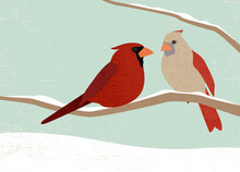 A Male And Female Cardinal On A Snowy Branch In A Cut Paper Style With Textures
