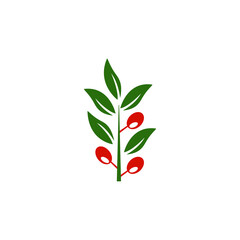 Canvas Print - leaf branch icon design template vector