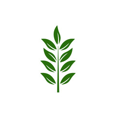 Canvas Print - leaf branch icon design template vector