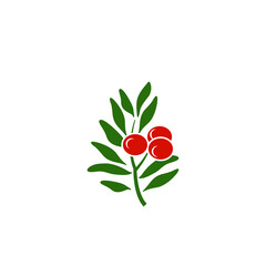 Canvas Print - leaf branch icon design template vector