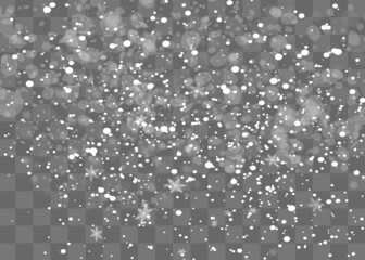 Wall Mural - Snowfall, snowflakes in different shapes and forms. Snowflakes, snow background. Christmas snow for the new year.