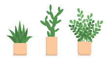 Indoor Plants In Rectangular Pots On A White Background . A Set Of Vector Illustrations .Scarlet, Cactus And Zamiokulkas In Brown Pots.