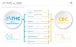 © About time - ∆8-THC vs CBC, Delta 8 Tetrahydrocannabinol vs Cannabichromene horizontal business infographic
