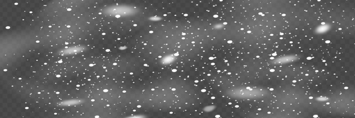 Wall Mural - Snowfall, snowflakes in different shapes and forms. Snowflakes, snow background. Christmas snow for the new year.