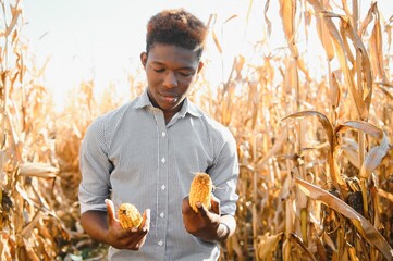 African Farmer stand in the corn plantation field