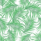 Fototapeta Sypialnia - Jungle vector pattern with tropical leaves.Trendy summer print. Exotic seamless background.