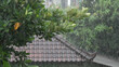 © VALENTIN - The brown roof of house c and the green tree under the torrential tropical rain. A beautiful shot with heavy downpour in the daytime. Urban environment. Rainy season in Indonesia on the island of Bali
