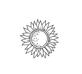 Wall Mural - Vector isolated sunflower round flower contour line drawing. Colorless black and white sundlower seeds black line sketch