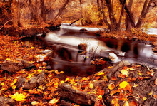 Autumn Landscape. The River Running Among The Autumn Yellow Forest. Autumn Leaves On The Shore On The Stones. Long Exposure.