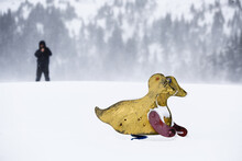 Shot Of An Abandoned Yellow Duck Swing In The Snow With A Man Taking A Photo In The Background