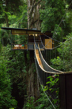 Bridge To The Treehouse In Costa Rica