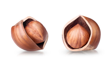 Hazelnut isolated on white background. Collection of two cracked filbert nuts