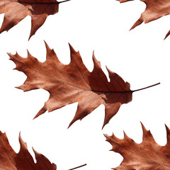 Wall Mural - Oak tree leaf seamless pattern. Oak Leaf. 