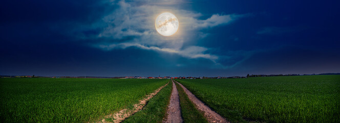 Wall Mural - Path in a night meadow overlooking the full moon