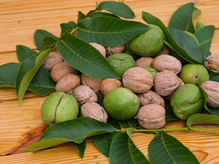 Wall Mural - Heap of freshly harvested walnuts with leaves on wooden background