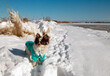 Chihuahua im Schnee mit Wintermantel Insel Rügen Venzvitz