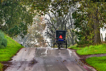 Sticker - Amish Buggy in Autumn see the walnuts on the road.