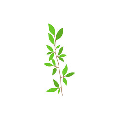 Canvas Print - leaf branch icon design template vector