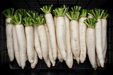 Fototapeta Fototapety do kuchni - Pyszna biała rzodkiew przygotowana do sprzedaży na targu / Delicious white radish prepared for sale at the market 