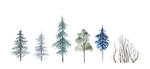 set of watercolor illustrations of trees and forest. Forest landscape, hand-painted