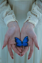 Blue Butterfly On Persons Hand