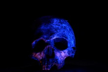 Blue Skull Against Dark Background