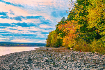 Wall Mural - autumn landscape, bright colorful leaves on the rocky riverbank.