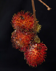 Wall Mural - Rambutan fruit contains nutrients that offer a myriad of benefits for the body. The word 