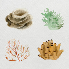 Sticker - Coral reef in watercolor set vector 