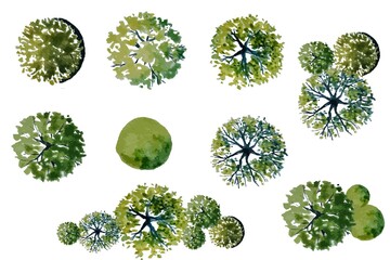 Wall Mural - watercolor tree top view isolated on white background for landscape plan and architecture layout dra