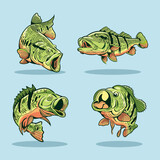 Fototapeta  - Peacock bass the lake fish vector illustration