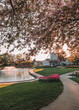 Cement sidewalk with beds of pink tulips leading around Pella's Sunken Gardens Park at sunrise. Manicured grass with beds of tulips, pond, Dutch windmill, fountain, and iron bench in Pella, Iowa, USA.