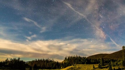 Wall Mural - Time Lapse Lockdown Shot Of Green Trees At Rio Grande National Forest From Night To Day - Creede, Colorado