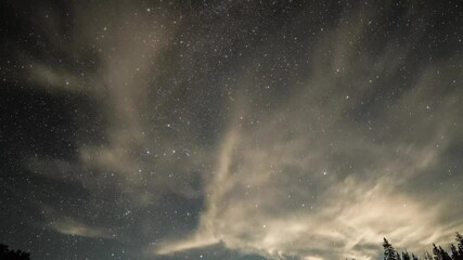 Wall Mural - Time Lapse Tilt Up Beautiful Shot Of Sparkling Sky At Night Above Forest - Creede, Colorado