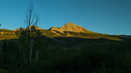 Wall Mural - Time Lapse Lockdown Scenic View Of Green Trees In Forest Against Clear Sky - Telluride, Colorado
