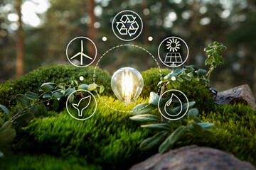 green forest with moss and grass with lightbulb. symbols of sustainable and eco friendly energy sour