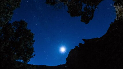 Wall Mural - Time Lapse Lockdown Scenic Shot Of Bright Moon And Stars In Sky Above Sky - Zion National Park, Utah