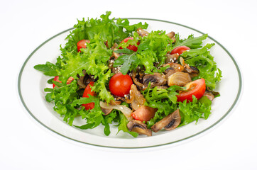 Wall Mural - Plate with vegetarian dish of arugula, tomatoes and mushrooms on white background. Studio Photo