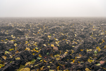 Sticker - Freshly plowed field on a foggy day in the autumn season. Yellow tree leaves have fallen from the trees onto the plowed clay soil. The photo was taken in the Dutch province of North Brabant.