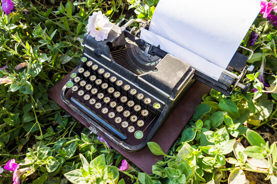 An old antique typewriter found in flowers. Typewriter for publishing and poetry books.