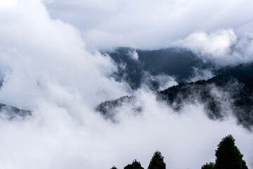 Wall Mural - hills stations covered with clouds