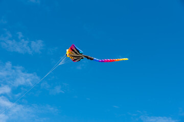 Wall Mural - colorful kites flying over the sky