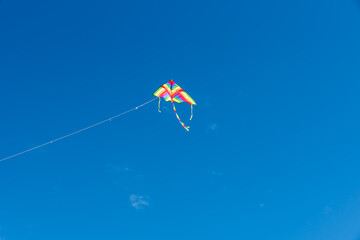 Wall Mural - colorful kites flying over the sky